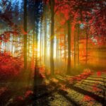 Beautiful Nature Desktop Wallpapers Free Download.