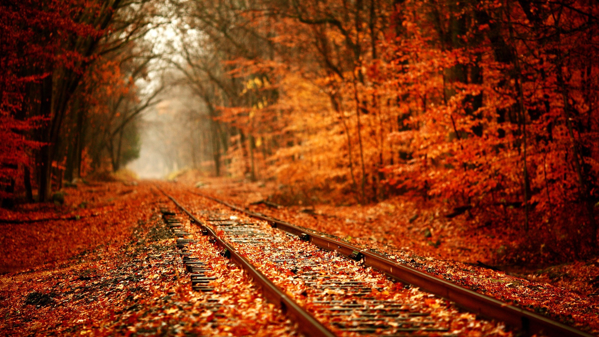 Autumn Wallpaper HD let you feel the magic of Fall 