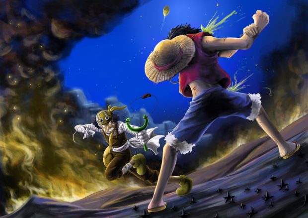 Beautiful one piece wallpaper HD.