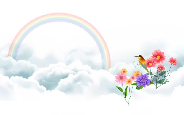 Bird and rainbow wide wallpaper HD.