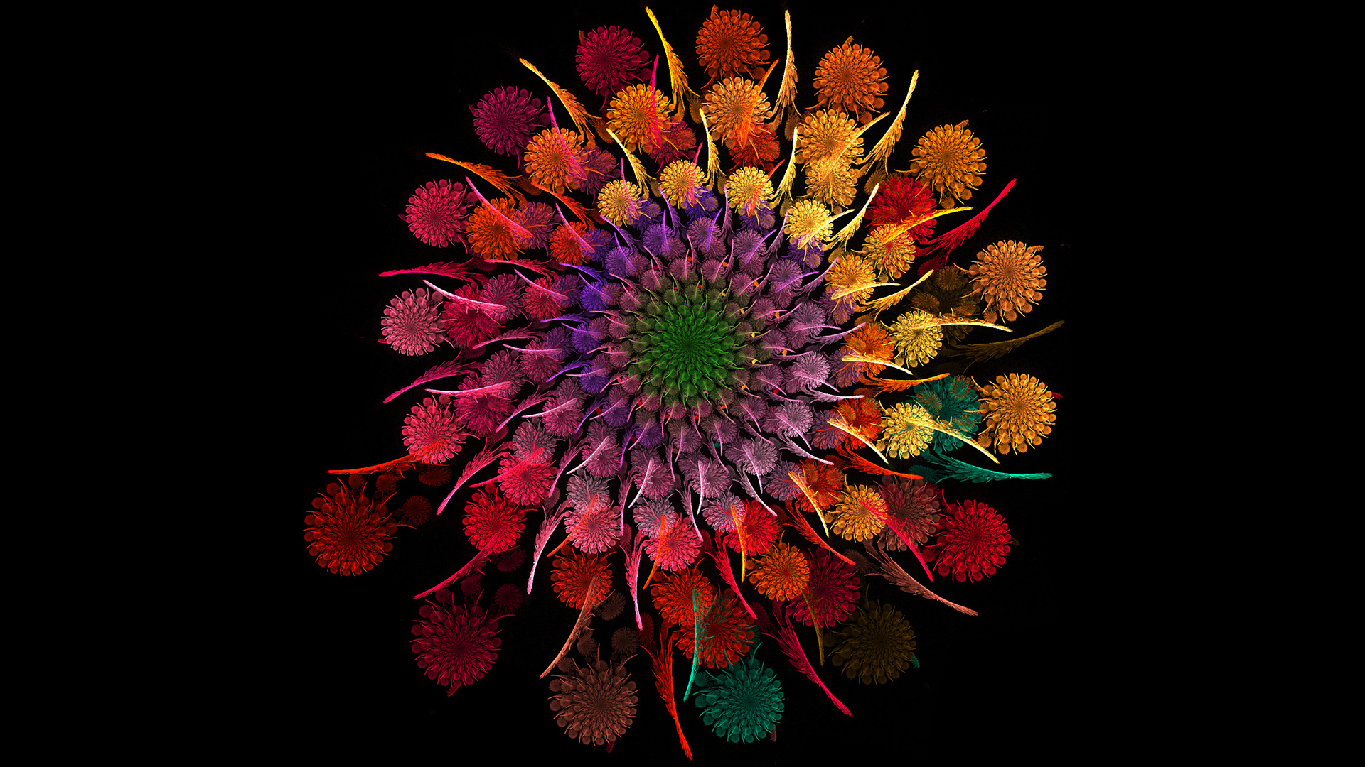  Colorful  Flowers Wallpapers  HD PixelsTalk Net