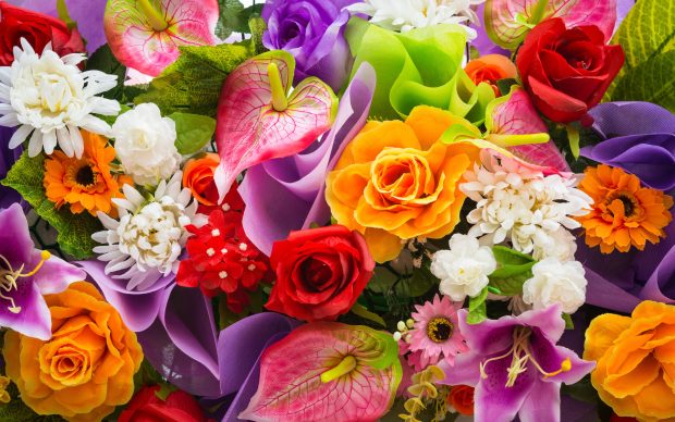 Colorful flowers wallpaper hd images.