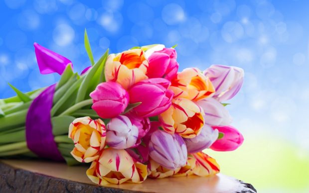 Cute colorful flowers wallpaper HD.