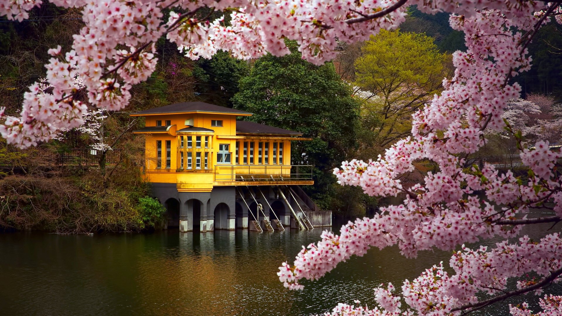 Spring in Japan Wallpapers HD free download | PixelsTalk.Net