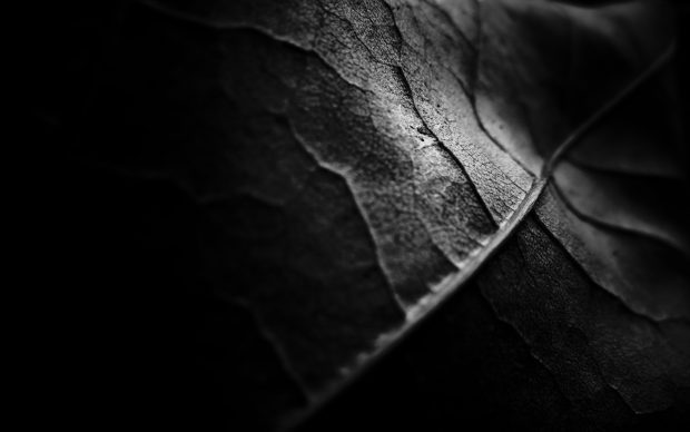 Dark wallpaper Veins Detail.