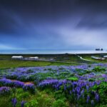 Download Beautiful Nature wallpaper HD.