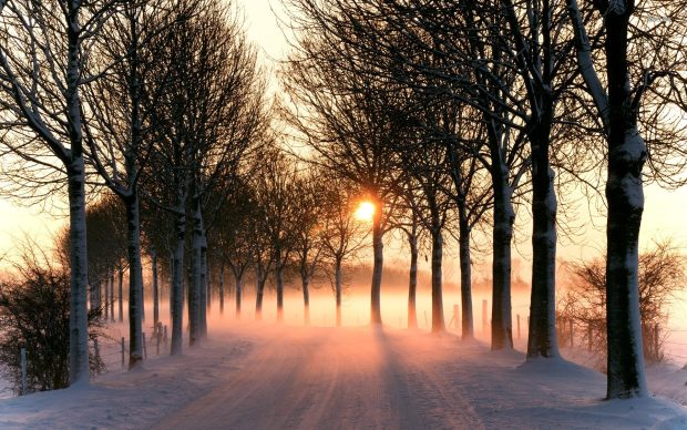 Download Free Winter Sun Wallpaper.