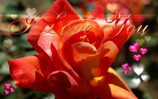 Free I love you ecard wallpaper cool.