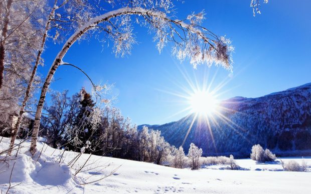 Free winter scenes wallpaper HD.