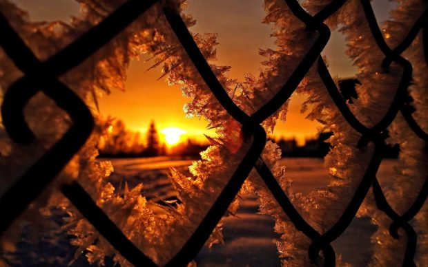 Frozen Sunset Wallpaper HD backgrounds.
