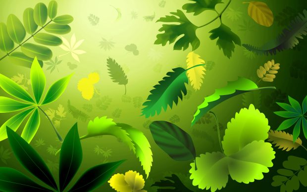 Green Leaves Hd Wallpaper download.