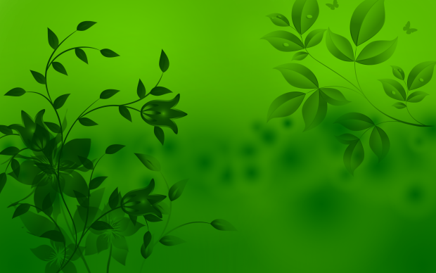 Green Wallpapers HD background.