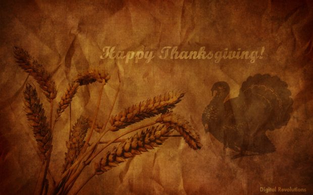 Happy Thanksgiving Background Wall.