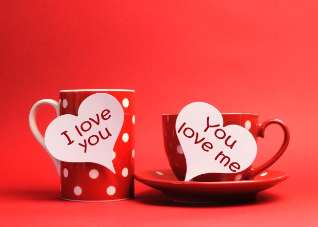 I love you on cups valentines day hd wallpaper image.