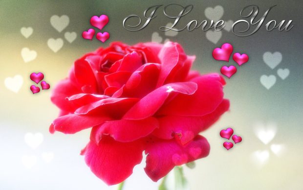 I loveyou ecard hd wallpaper download.