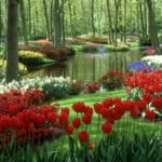 Image Beautiful Nature wallpaper desktop.