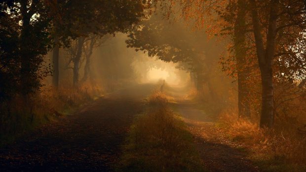 Image autumn wallpaper road.