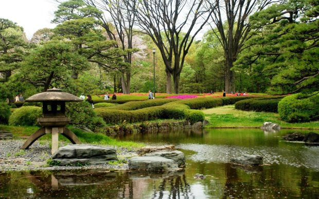 Nature gardens trees in japan