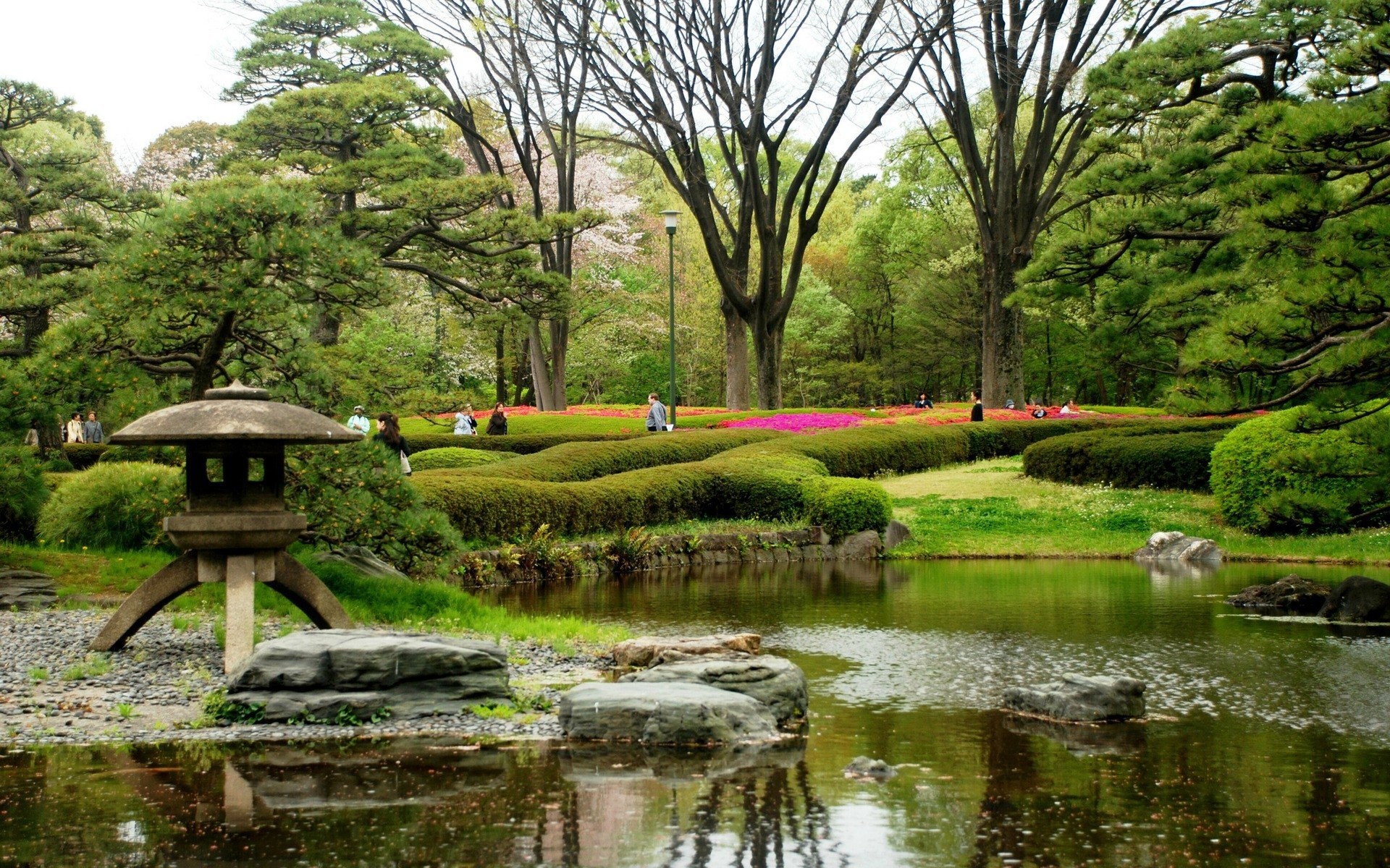 Spring in Japan Wallpapers HD free download | PixelsTalk.Net