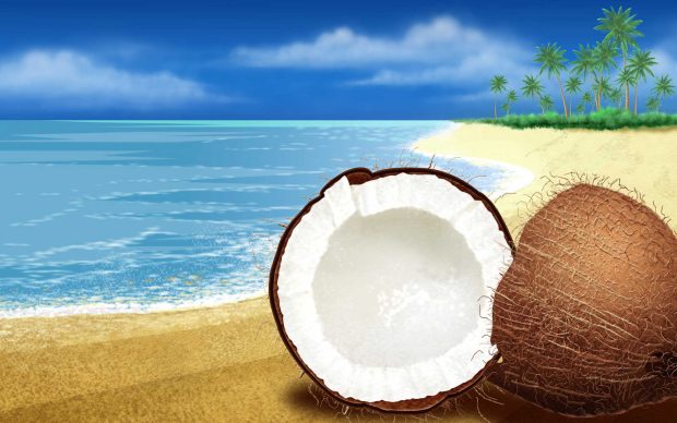 Nature wide screen wallpaper coconut sea.