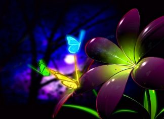 Nice Animated 3D Flower And Butterfly Wallpaper Desktop.