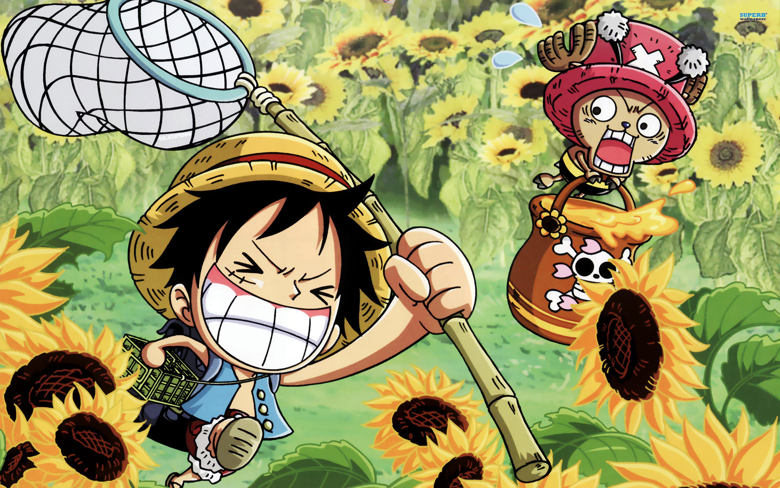 One Piece Background Desktop 