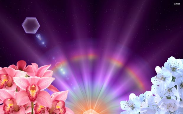 Orchids and blossoms under the rainbow wallpaper.