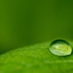 Photo Nature Backgrounds free download.