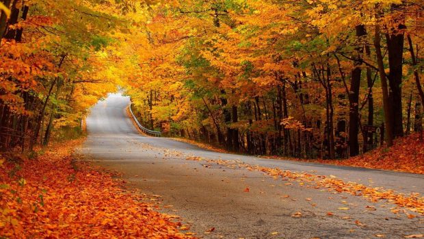 Photo autumn wallpaper download.