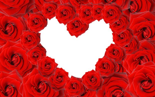 Red roses love heart wallpaper wide.