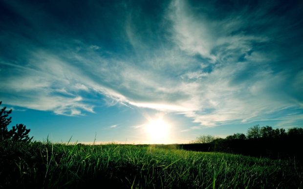 Sky grass blue green clouds wallpaper HD.