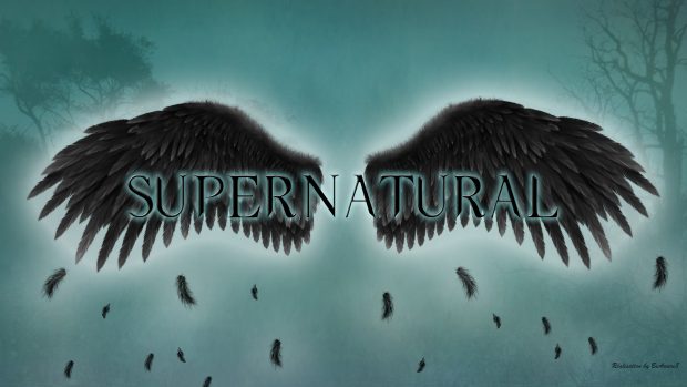 Supernatural the fallen angel wings wallpaper HD.