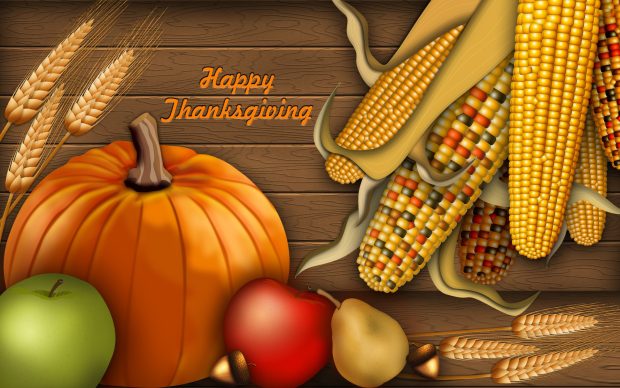 Thanksgiving Holiday HD Wallpapers Free Download.