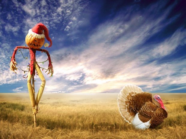 Thanksgiving Holiday Wallpapers HD.