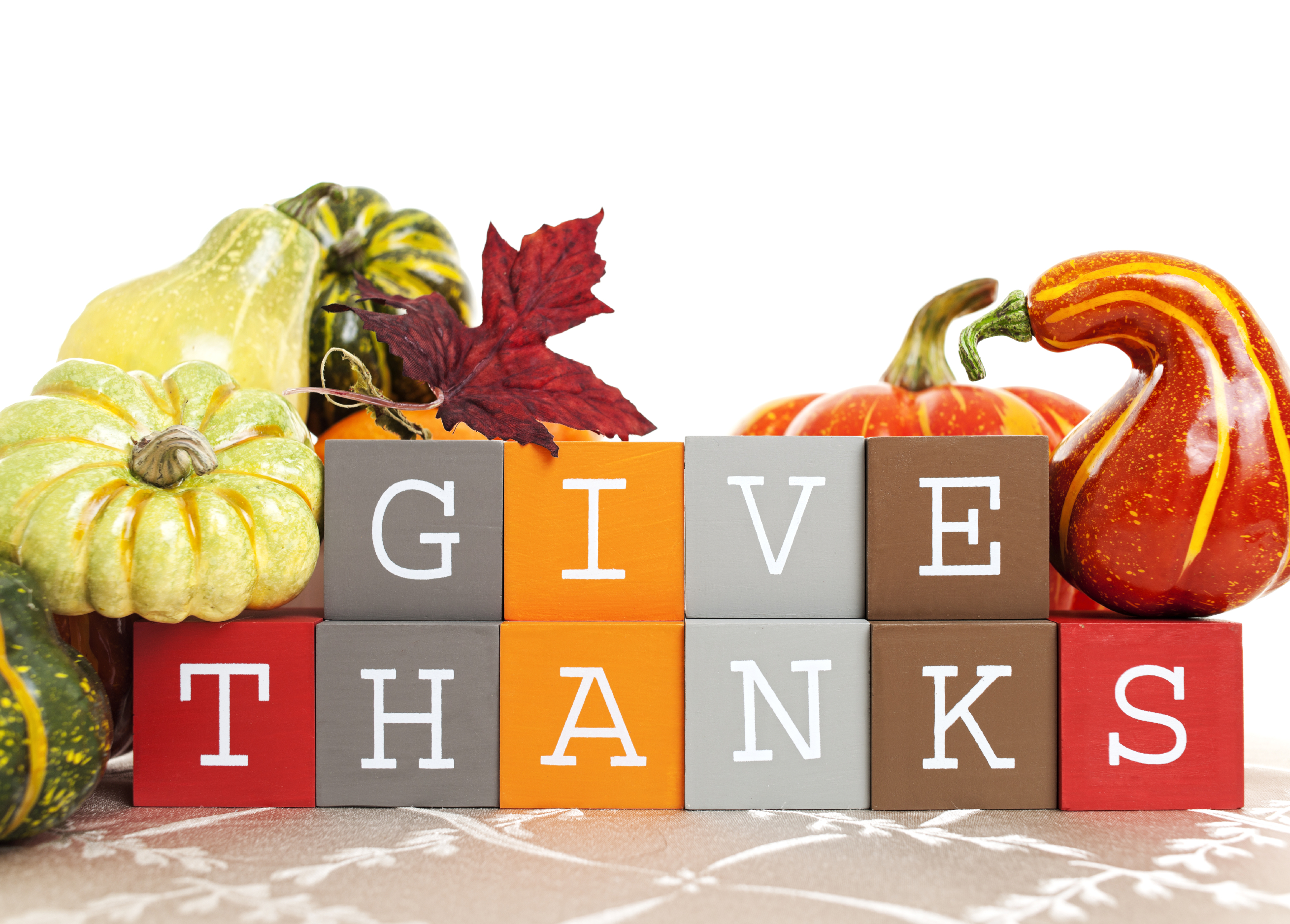 Thanksgiving bingo cards with picture