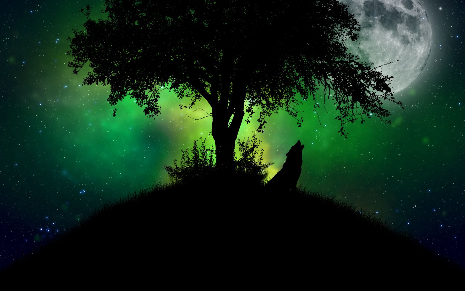 Wolf Backgrounds free download 