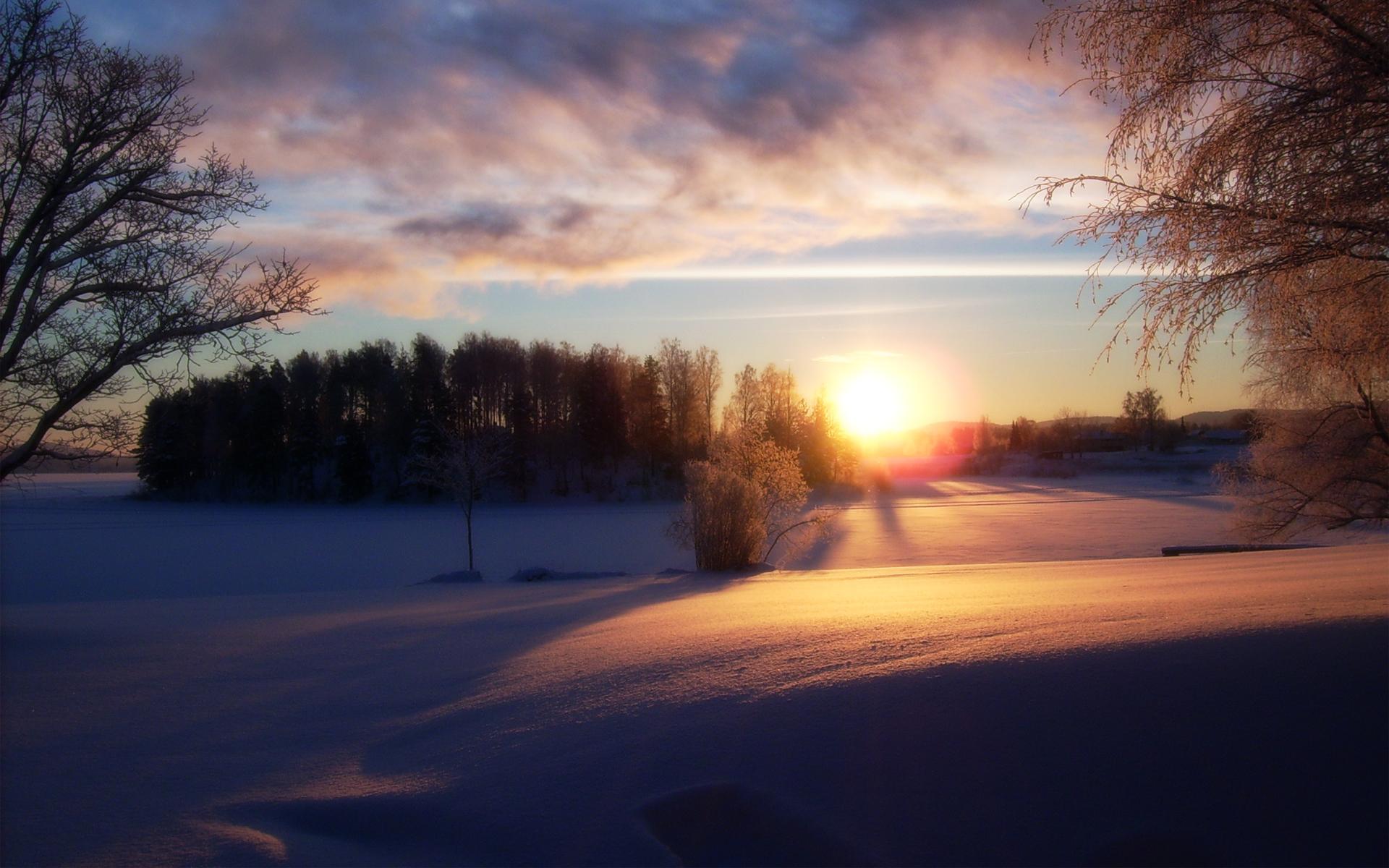 冬天,树,天空,森林,优美的冬季雪景桌面壁纸_高清风景壁纸_彼岸桌面