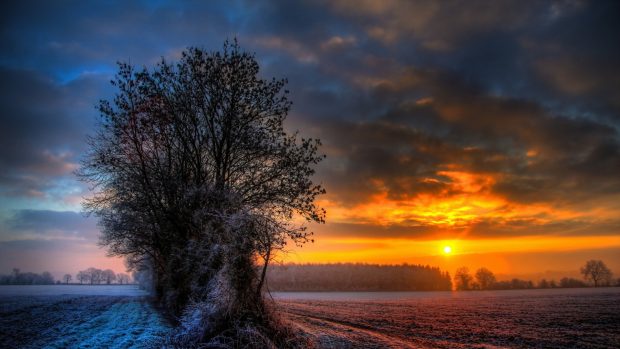 Winter Sun Full HD Wallpaper.