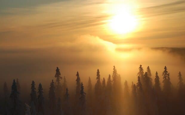 Sunset over foggy pine forest with golden sunlight breaking through clouds and mist, creating a serene and atmospheric natural landscape scene.
