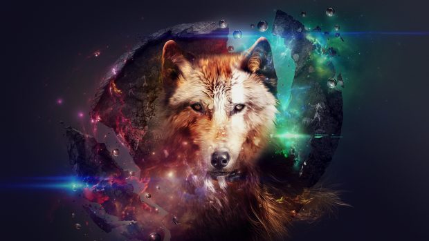 Wolf Abstract backgrounds.