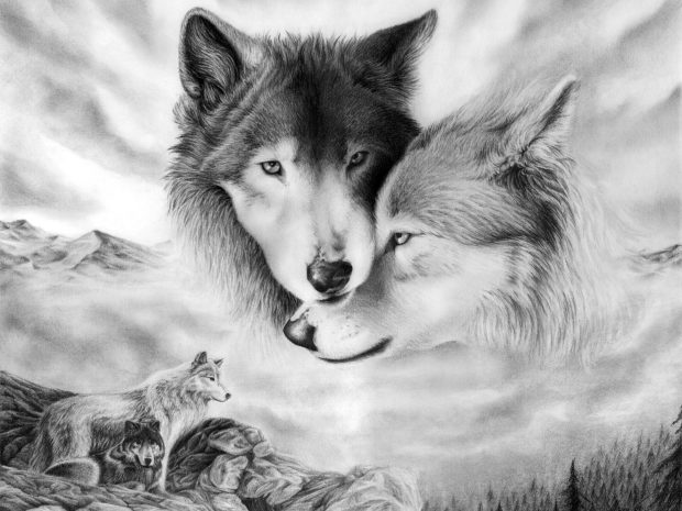 Wolf Free Background.