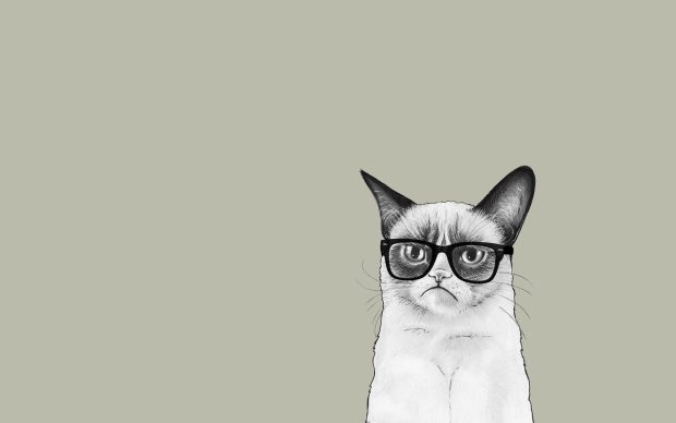 Art cat monotype glasses discomfort minimalist wallpaper drawing.