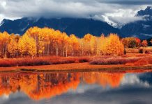 Autumn Mountain Wallpapers For Android.