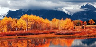 Autumn Mountain Wallpapers For Android.