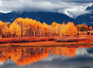 Autumn Mountain Wallpapers For Android.