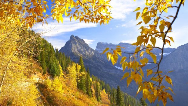 Autumn mountain wallpaper pictures 1080P.