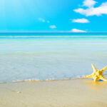 Beach summer backgrounds.