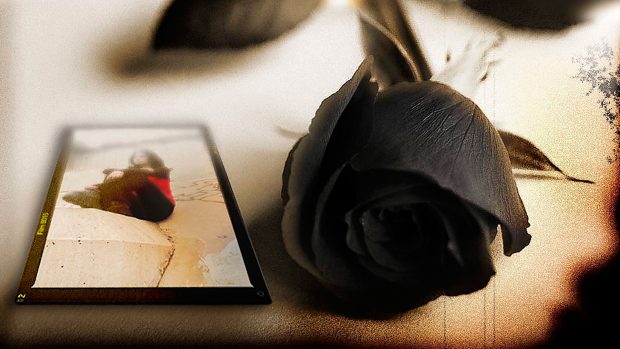 Black rose background wallpapers HD.