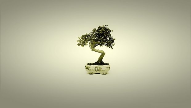 Bonsai tree art wallpaper backgrounds HD.