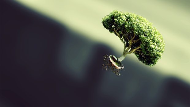 Bonsai tree artwork wallpaper HD.